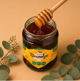 miel d'eucalyptus